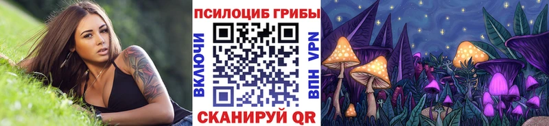 купить закладку  Усть-Джегута  Галлюциногенные грибы Magic Shrooms 